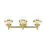 5_Oldwick 3 Light Polished Brass Bath Vanity more views
