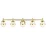 2_Oldwick 5 Light Polished Brass Bath Vanity
