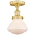 Innovations Lighting Olean Gold Collection
