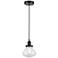 Olean 7" Matte Black Mini Pendant w/ Seedy Shade