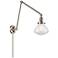 Olean 9" Brushed Satin Nickel Double Extension Swing Arm w/ Seedy Shad