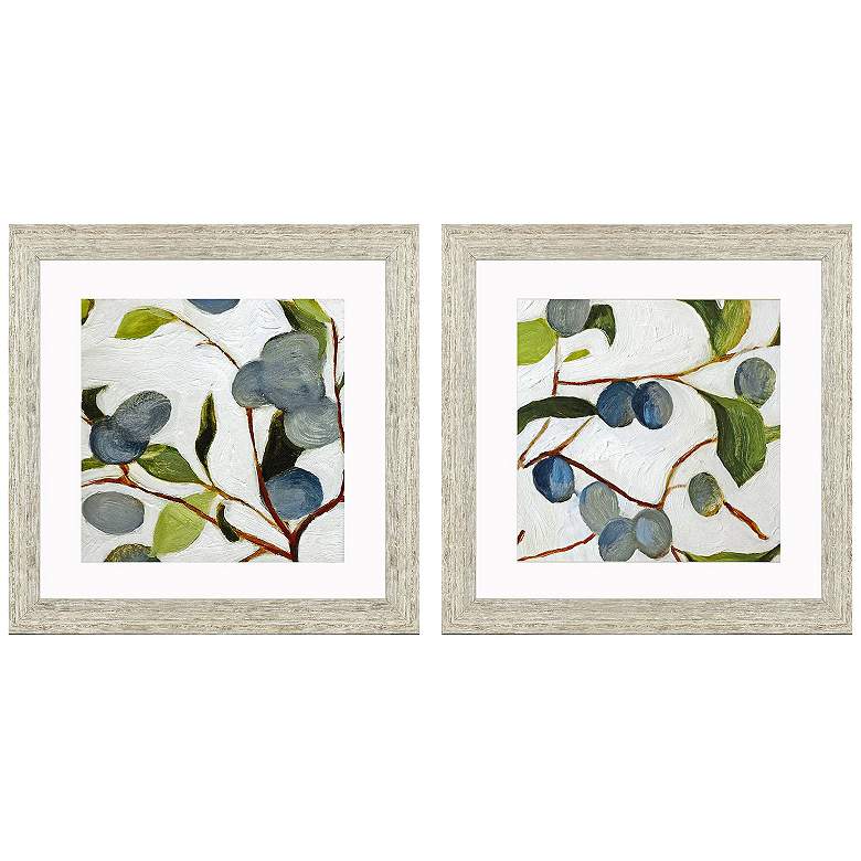 Image 1 Olive Branches II 28"W x 28"H Framed Art Set of 2
