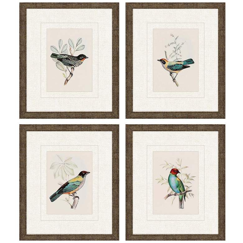 Image 1 On Perch I 11"W x 13"H Framed Art Set of 4