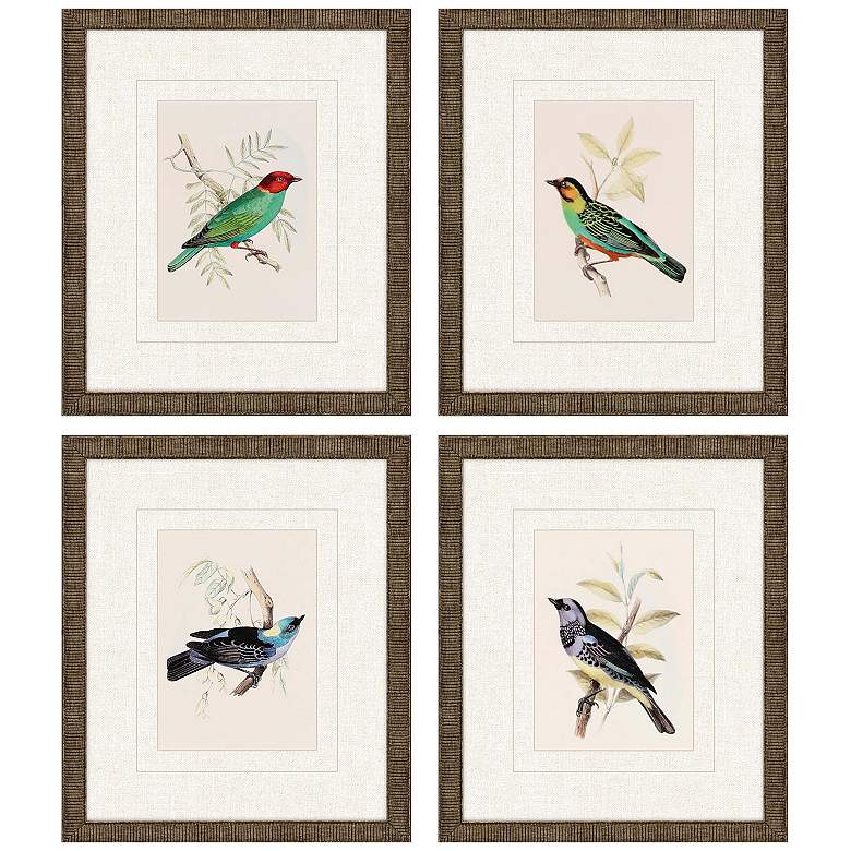 Image 1 On Perch II 11"W x 13"H Framed Art Set of 4