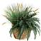 Onion Grass, Dogstail, and Fern 30"W Faux Plant in Basket