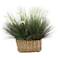 Onion Grass with Dogstail 32"W Faux Plant in Basket