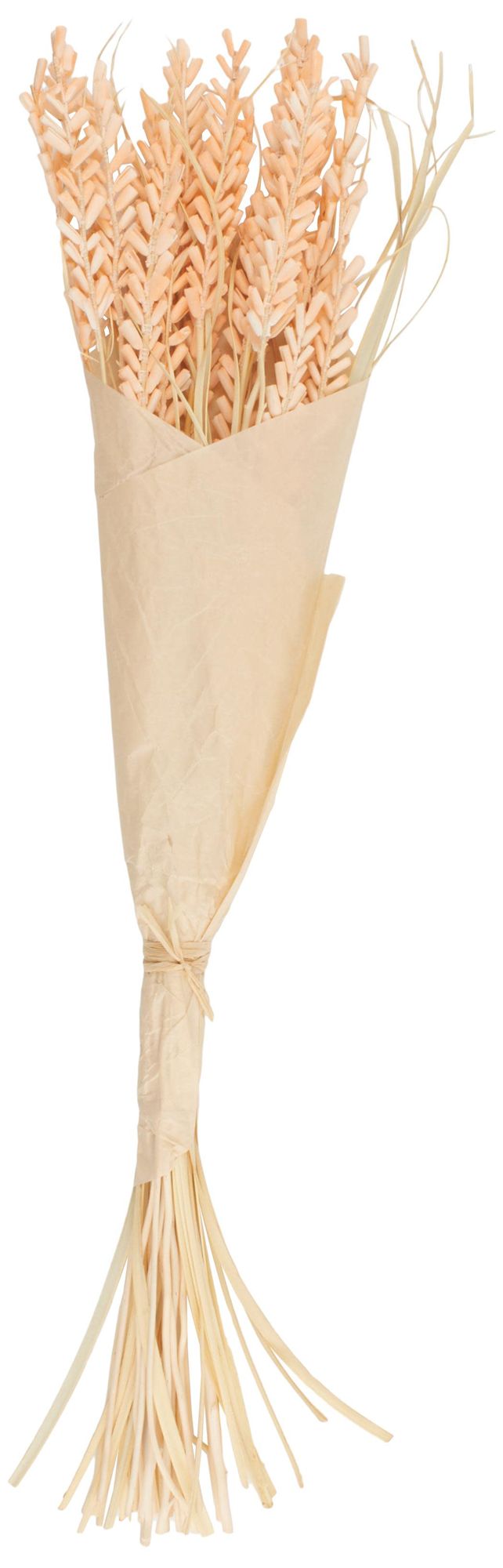 Image 2 Orange Dried Plant French Country Natural Foliage, 7" x 7" x 41"