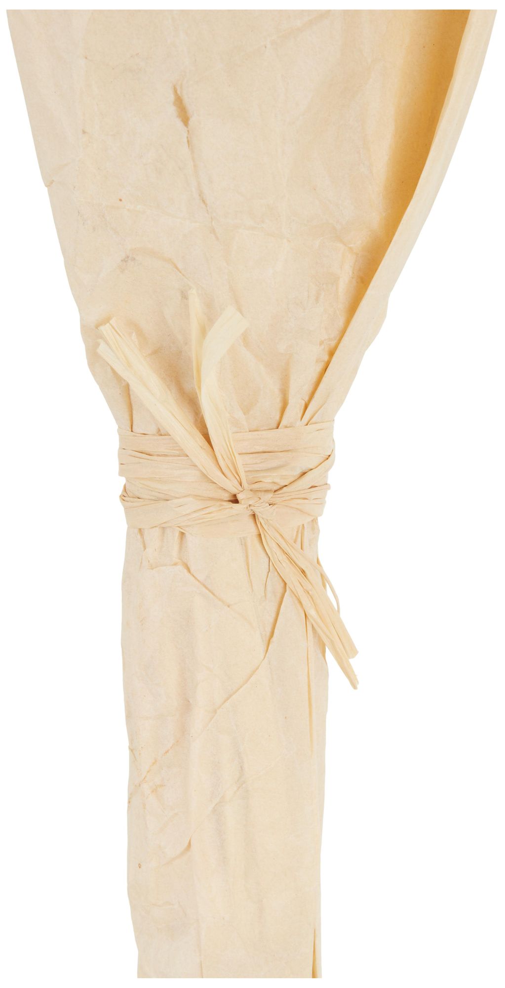 Image 3 Orange Dried Plant French Country Natural Foliage, 7" x 7" x 41" more views