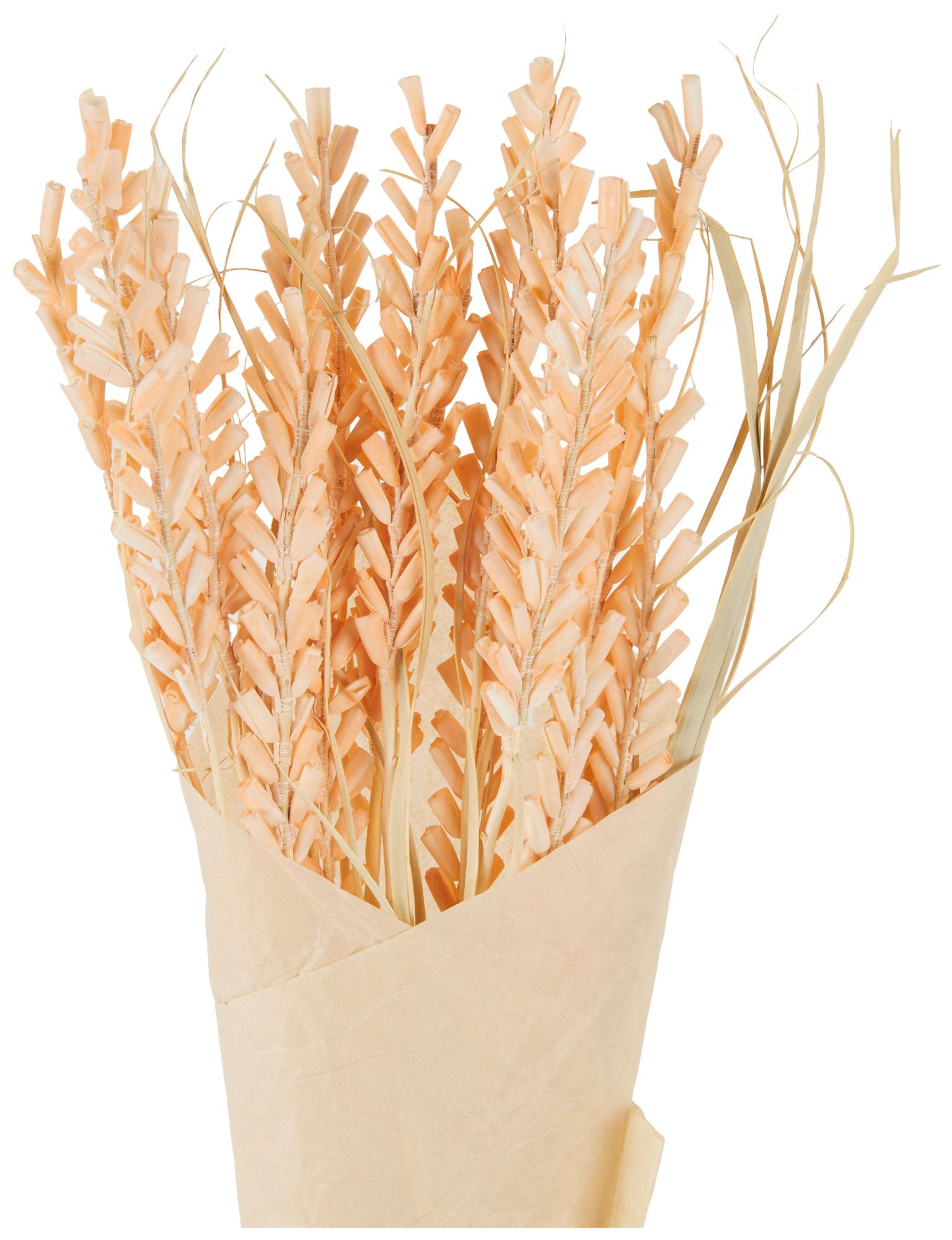 Image 4 Orange Dried Plant French Country Natural Foliage, 7" x 7" x 41" more views