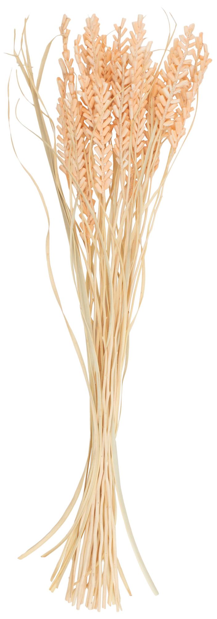 Image 5 Orange Dried Plant French Country Natural Foliage, 7" x 7" x 41" more views