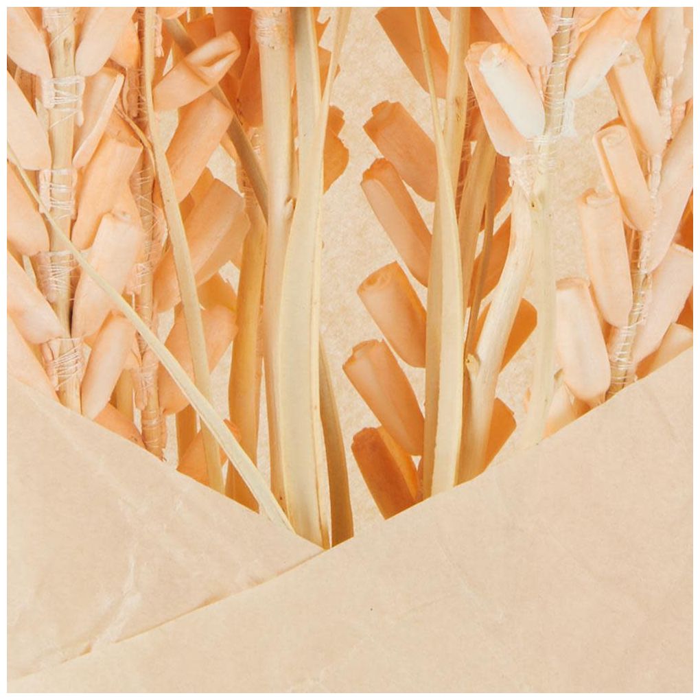 Orange Dried Plant French Country Natural Foliage, 7" x 7" x 41"