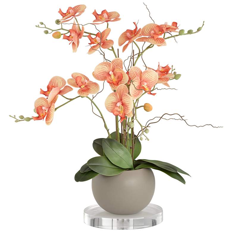 Image 1 Orange Orchid 22 1/2 inchH Faux Floral With 7 inch Round Acrylic Riser