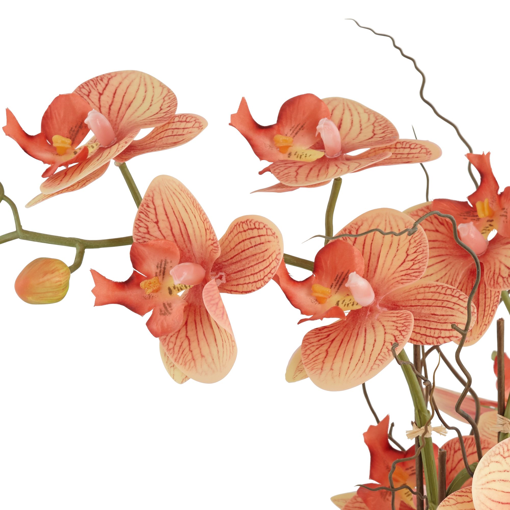 Image 2 Orange Orchid 22 1/2"H Faux Floral With 7" Round Acrylic Riser more views