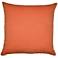Orange Paragon 22" Square Indoor-Outdoor Throw Pillow