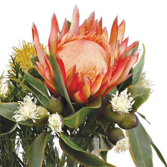 Image 2 Orange Protea and Eucalyptus 24" Wide Faux Flowers in Vase more views
