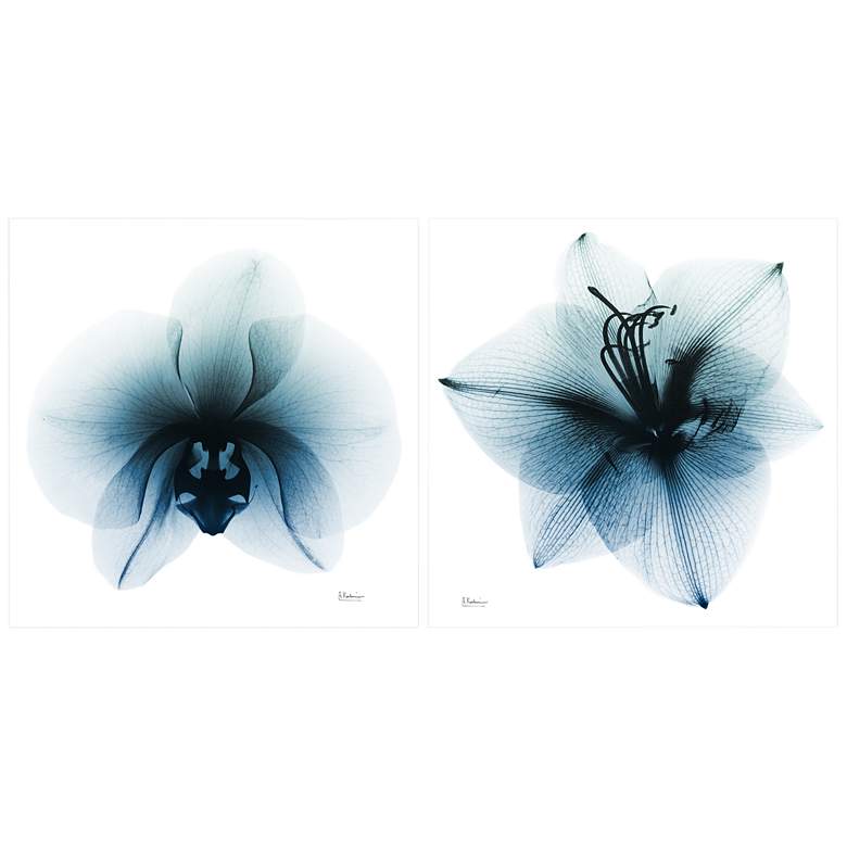 Image 3 Orchid and Amaryllis 76" Wide 2-Piece Glass Wall Art Set