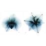 Orchid and Amaryllis 76" Wide 2-Piece Glass Wall Art Set in scene