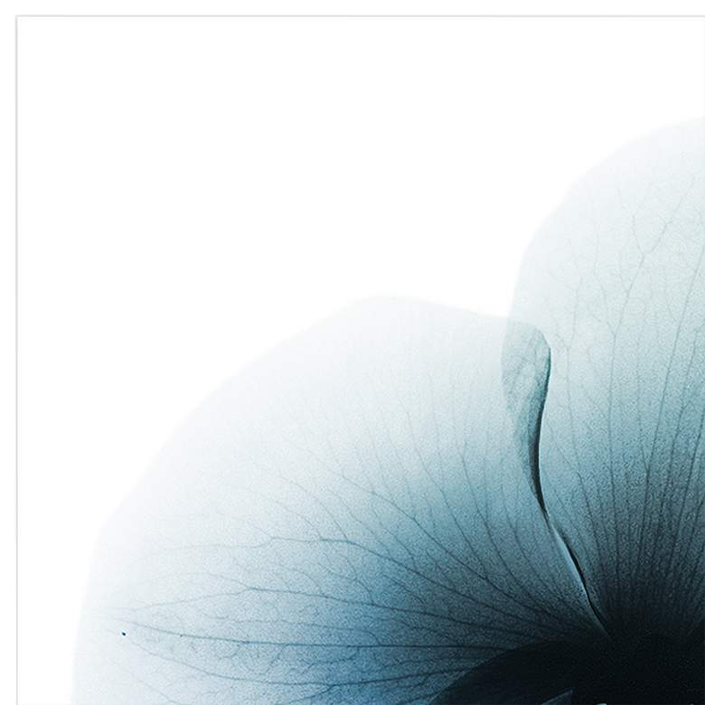 Image 4 Orchid and Amaryllis 76" Wide 2-Piece Glass Wall Art Set more views