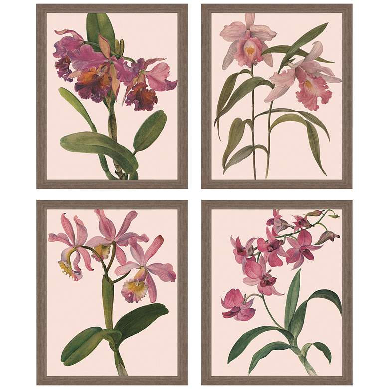 Image 2 Orchids 22" High 4-Piece Giclee Framed Wall Art Set