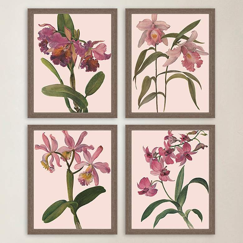 Image 1 Orchids 22 inch High 4-Piece Giclee Framed Wall Art Set