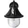 Orion 13"H Black Solar LED Dusk-to-Dawn Outdoor Wall Light