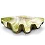 1_Orlandi Giant Clam Shell 48"W White Moss Outdoor Sculpture