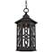 Ormsby 16 1/2" High Black LED Outdoor Hanging Light
