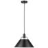 Orwell 14" Wide Matte Black Metal Pendant Light