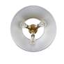 Thumbnail3 of Orwell 18 3/4" Wide 3-Light Flush Mount in Champagne Bronze with Chrom more views
