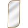 Osprey 40"H Contemporary Styled Wall Mirror