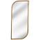 Osprey Gold 17" x 40" Rectangular Wall Mirror