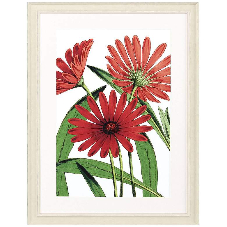 Image 3 Osteospermum 31"W x 41"H Framed Art