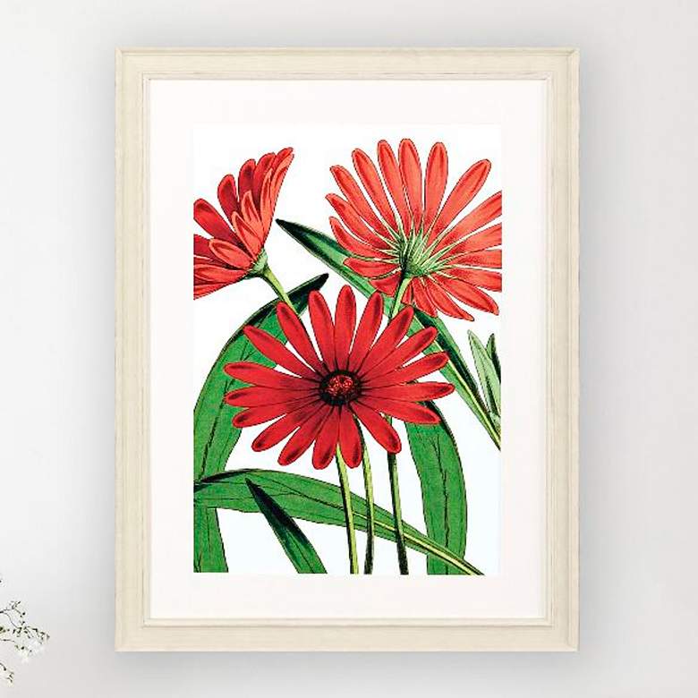 Image 2 Osteospermum 31"W x 41"H Framed Art
