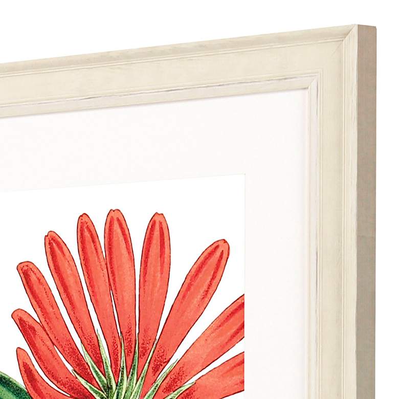 Image 4 Osteospermum 31"W x 41"H Framed Art more views