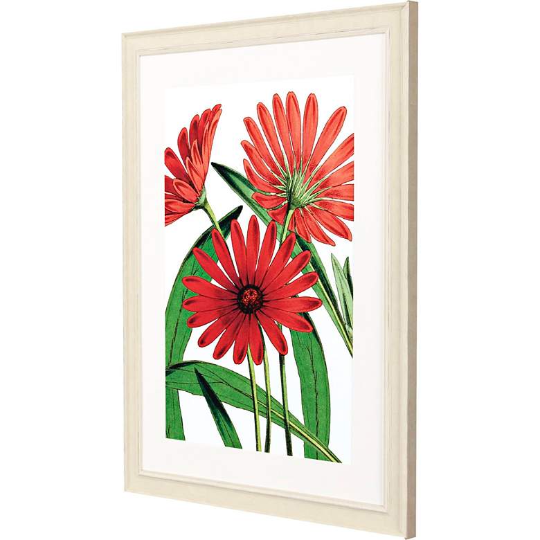 Image 5 Osteospermum 31"W x 41"H Framed Art more views