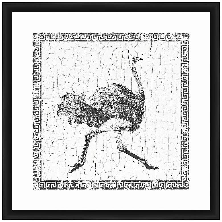 Image 1 Ostrich 22 inch Square Framed Giclee Wall Art
