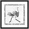 Ostrich 22" Square Framed Giclee Wall Art