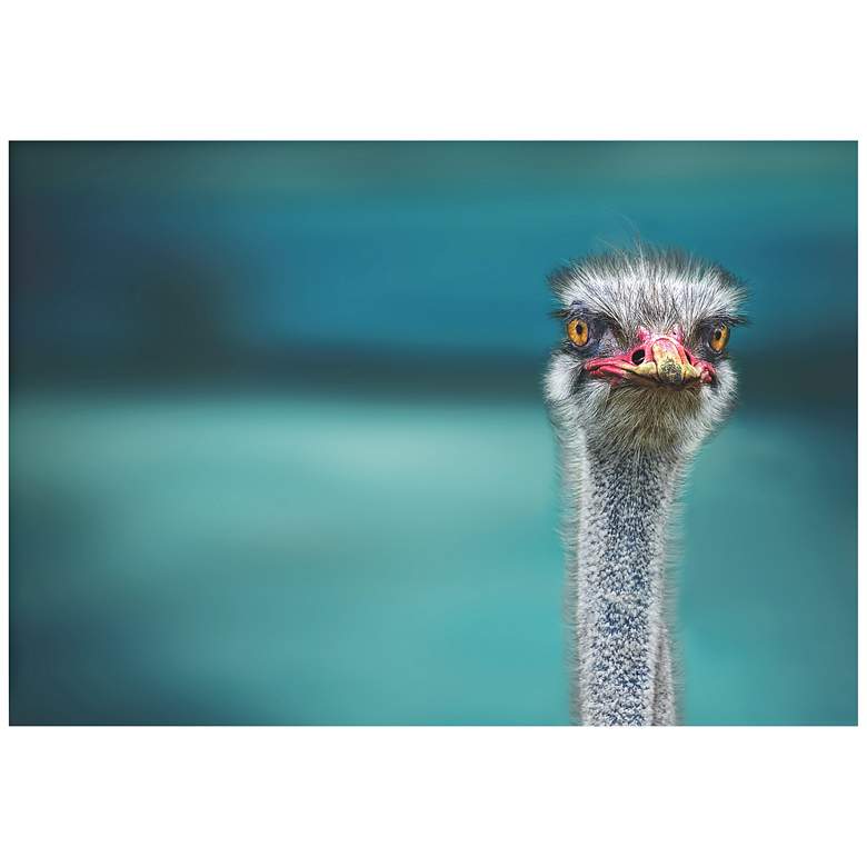 Image 1 Ostrich 32 inch Wide Giclee Metal Wall Art