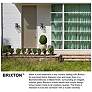 5_Outdoor Brixton-Medium Flush Mount-Black more views