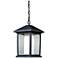 Outdoor Chain Light in Black finish