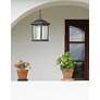 3_Outdoor Chain Light in Black finish more views