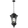 Outdoor Chain Light in Black finish