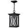 Outdoor Randolph-Medium Hanging Lantern-Black