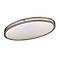 Oval 28 3/4" Wide Ceiling Light Fixture by Minka Lavery
