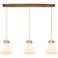 Owego 24.38"W 12 Light Polished Nickel Multi Pendant w/ Light Smoke Sh