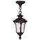 Oxford 1 Light Bronze Chain Lantern