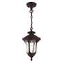 5_Oxford 1 Light Bronze Chain Lantern more views