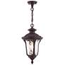 2_Oxford 1 Light Bronze Outdoor Pendant Lantern