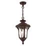 5_Oxford 1 Light Bronze Outdoor Pendant Lantern more views