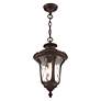 6_Oxford 1 Light Bronze Outdoor Pendant Lantern more views